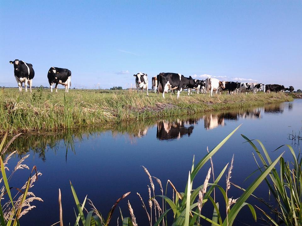 منزل الضيف فيسْبْ  في Boerderij Honswijck المظهر الخارجي الصورة
